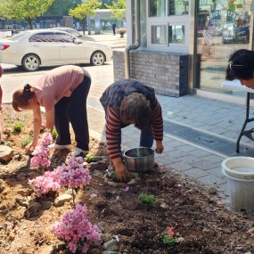 월간나눔장터중에도 화단가꾸기는 계속된다- 쭈욱