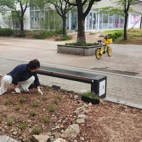 비가와서 촉촉하니 화단가꾸기